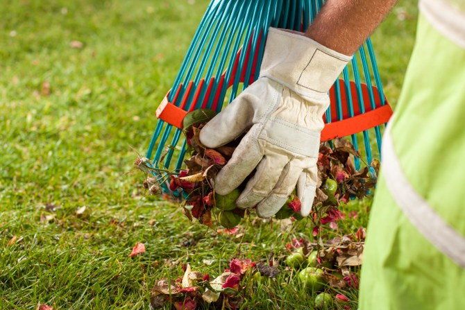 garden waste removal