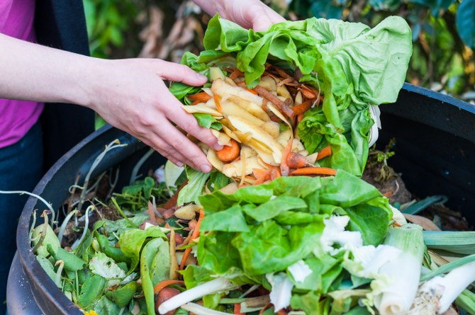 food waste removal