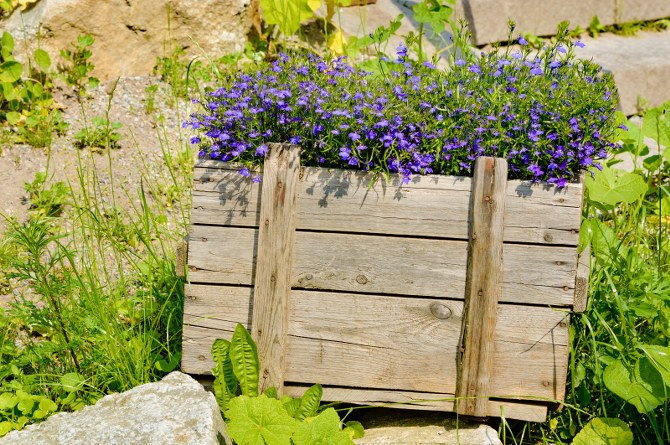 old crates