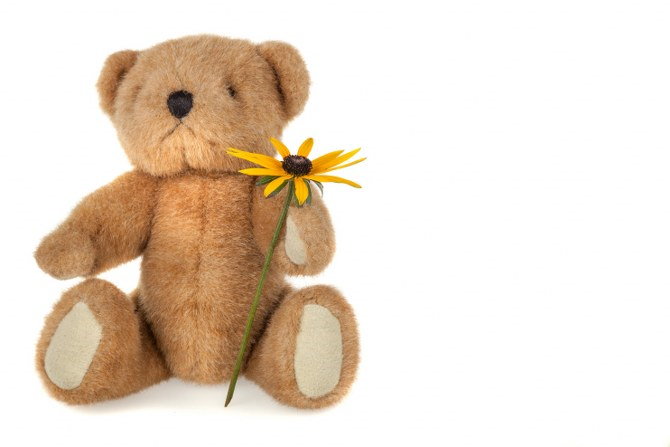 teddy bear holding a flower
