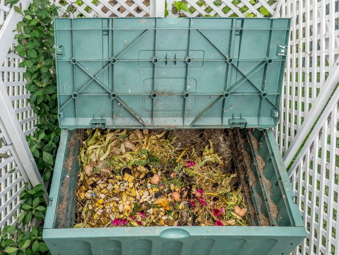 keep compost moist