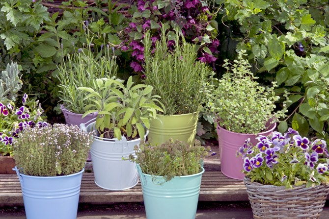 garden planters